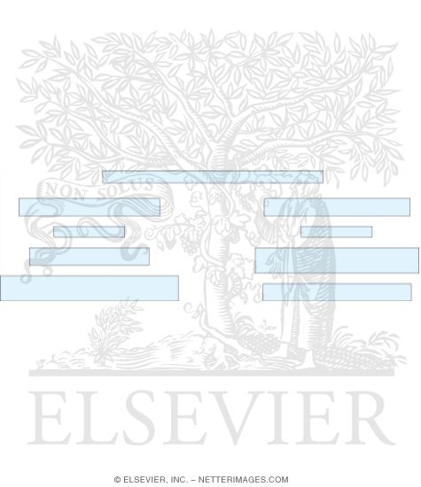 Watermarked preview of unlabeled image: Algorithm for the Management of Acute Sinusitis