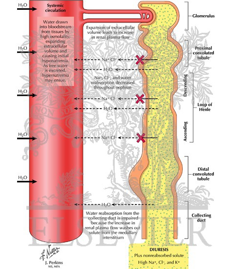 Osmotic Agents