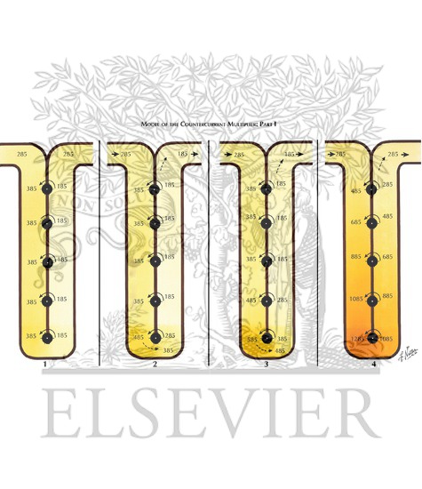 Watermarked preview of labeled image: Models to Demonstrate Principle of Countercurrent Multiplier in Creating High Interstitial Osmotic Gradient and Urine Concentration