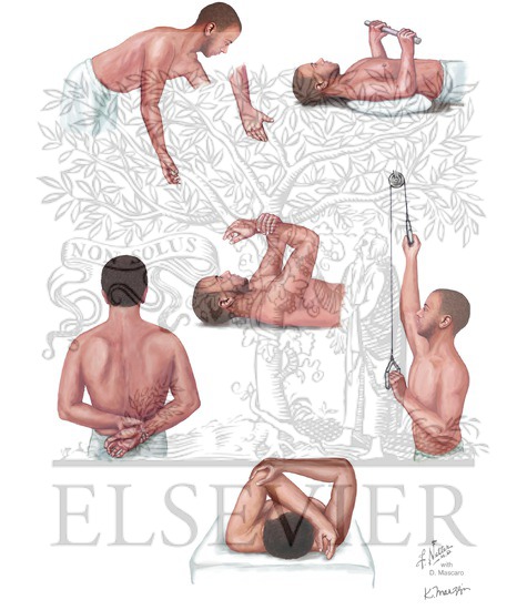Basic, Passive, and Active-Assisted Range-of-Motion Exercises