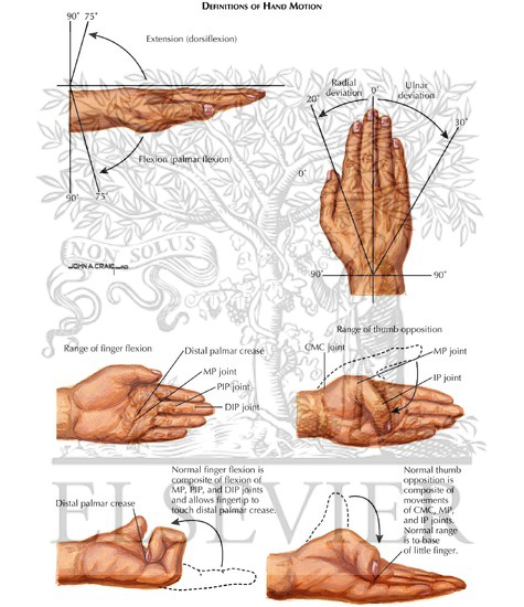Watermarked preview of labeled image: Definitions of Hand Motion