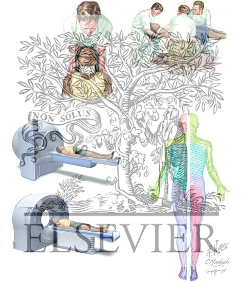 Watermarked preview of unlabeled image: Cervical Spine Injury: Prehospital, Emergency Room, and Acute Management