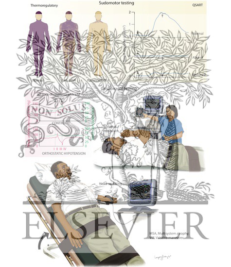 Watermarked preview of labeled image: Autonomic Testing