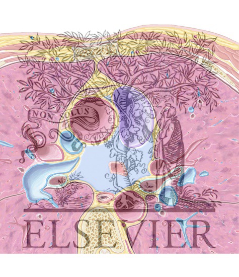 Interventional radiology: research topics image