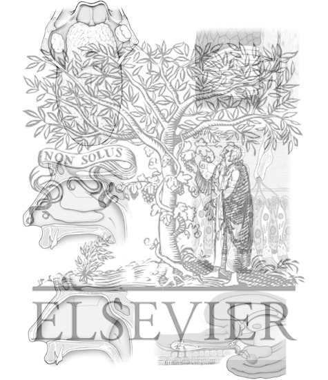 Watermarked preview of unlabeled image: Taste and Olfaction