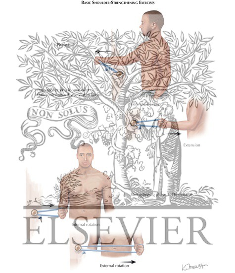Basic Shoulder-Strengthening Exercises