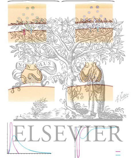 Watermarked preview of unlabeled image: Graded Potentials in Neurons
