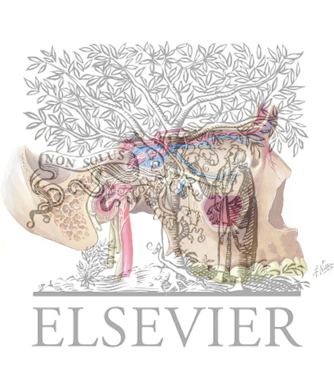 Internal Carotid and Ophthalmic Artery Course