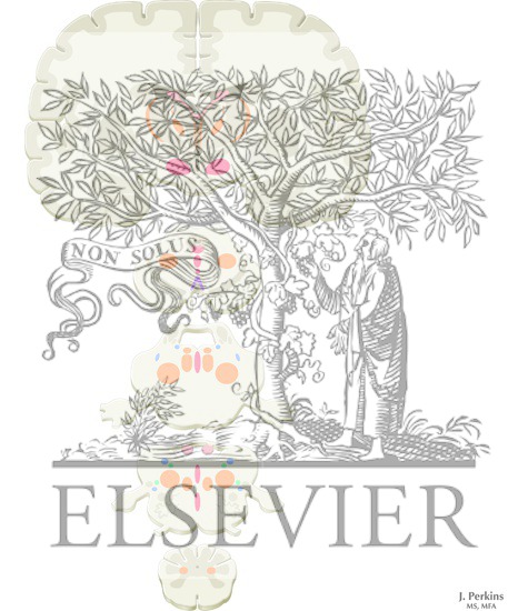 Watermarked preview of unlabeled image: Reticular Formation: Nuclei and Areas in the Brain Stem and Diencephalon