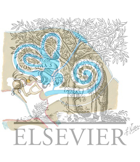 Watermarked preview of unlabeled image: Bony and Membranous Labyrinths