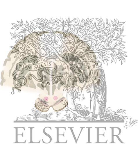 Watermarked preview of unlabeled image: Connections of the Basal Ganglia