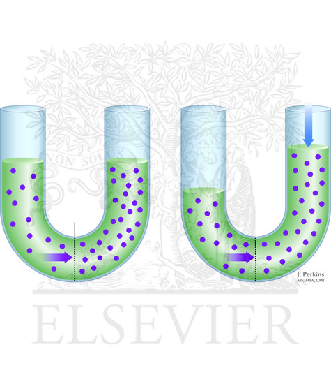 Osmosis and Osmotic Pressure