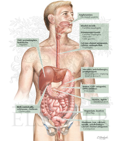 Adverse Effects of Medications on the Upper Digetive System