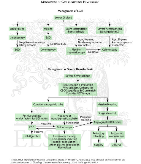 Watermarked preview of unlabeled image: Overview of Gastrointestinal Hemorrhage: (Continued): Management of Gastrointestinal Hemorrhage