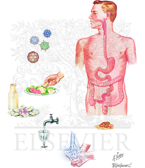 icd 10 code for acute viral enteritis
