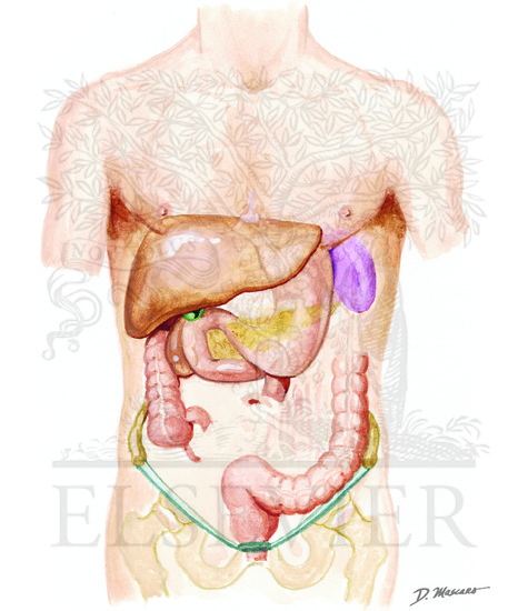HIV/AIDS Enteropathy