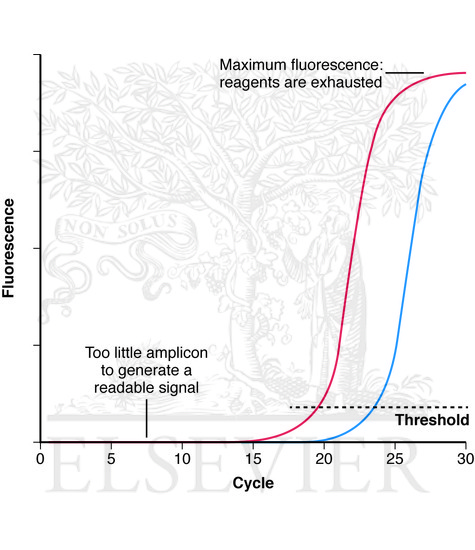 Watermarked preview of unlabeled image: Quantitative PCR amplification