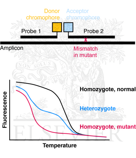 Watermarked preview of unlabeled image: Melting curve analysis