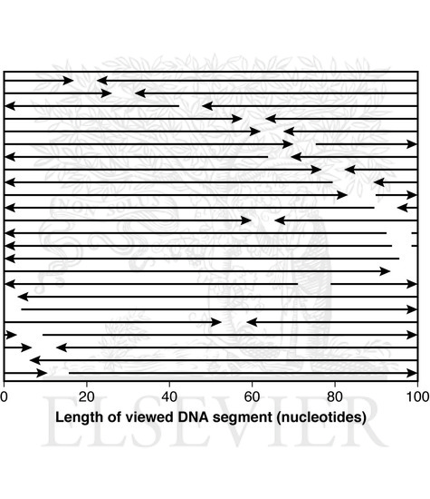 Watermarked preview of unlabeled image: Processed results of massive parallel sequencing