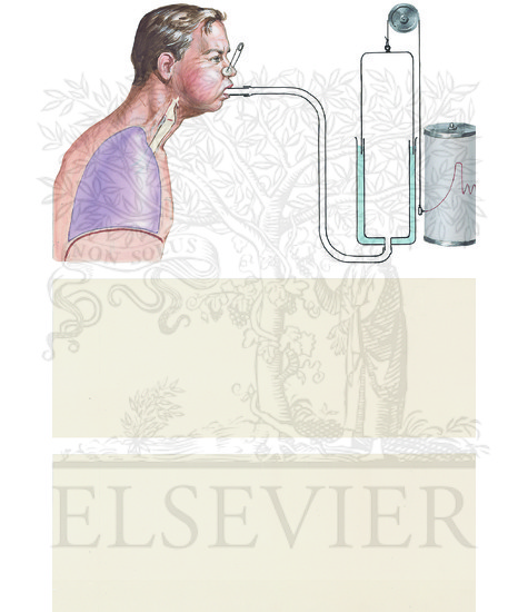 Forced Expiratory Vital Capacity Maneuver