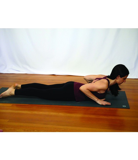 Cobra and Up Dog Pose as an Assessment Tool | Modern Manual Therapy Blog -  Manual Therapy, Videos, Neurodynamics, Podcasts, Research Reviews