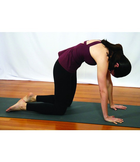 Scapular Protraction: Yoga Cat-Cow Pose (Marjaryasana-Bitilasana)