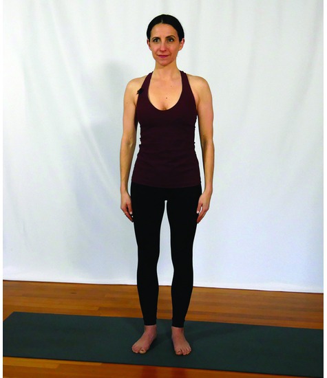 Watermarked preview of unlabeled image: Scapular Downward Rotation: Yoga Half Sun Salutation
