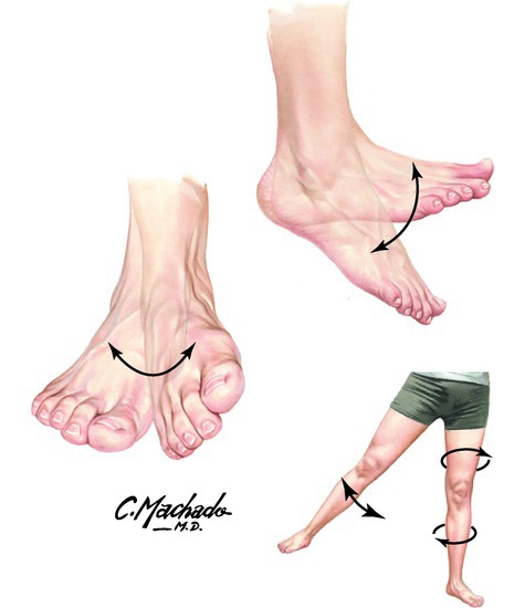 Watermarked preview of unlabeled image: Foot movements
