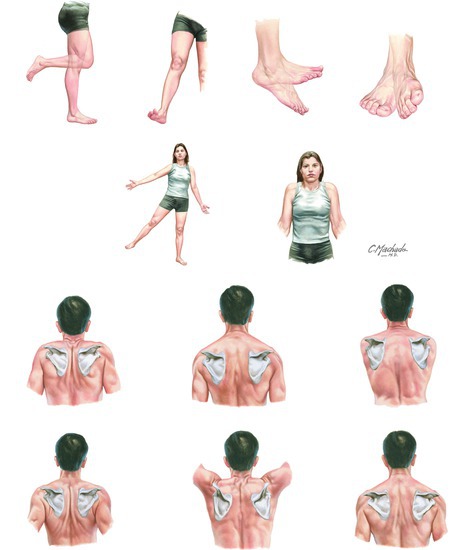 Terms of movement (continued)