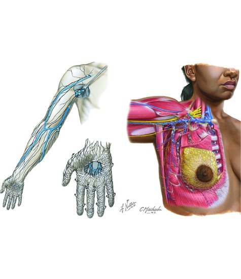 Lymphatic Drainage