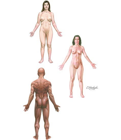 Body Regions