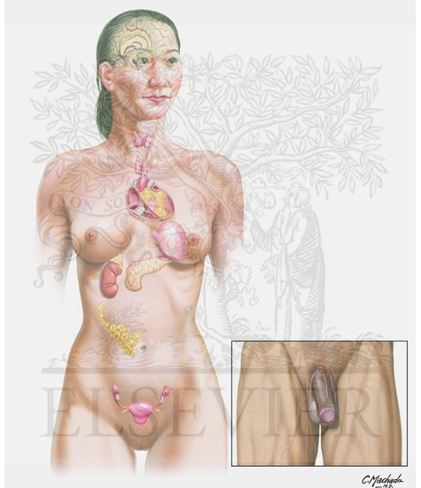 Overview of Endocrine System