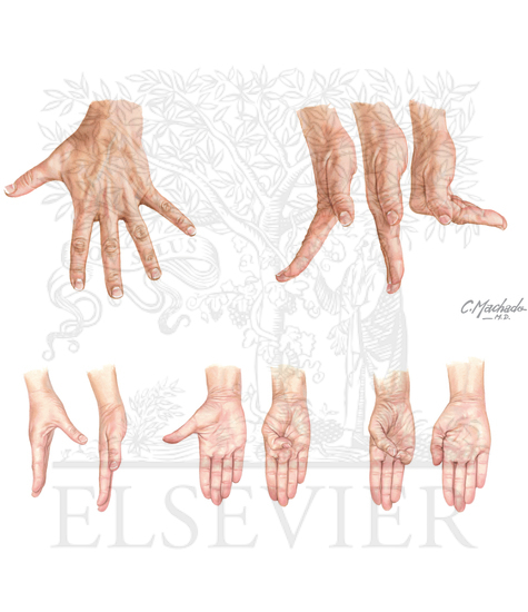 Finger and Thumb Movements