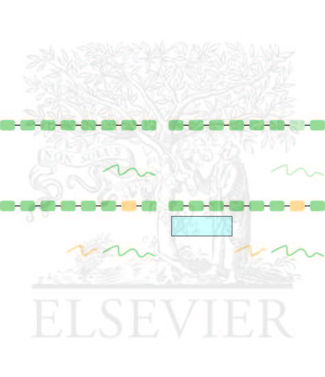 Contribution of SMN1 and SMN2 to Survival Motor Neuron protein translation