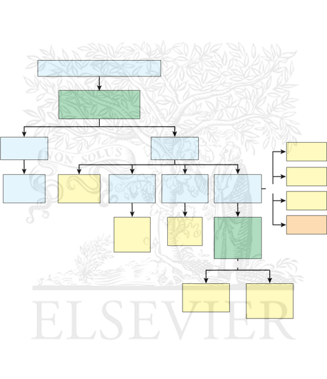 Flowchart for the Evaluation and Diagnosis of Syncope
