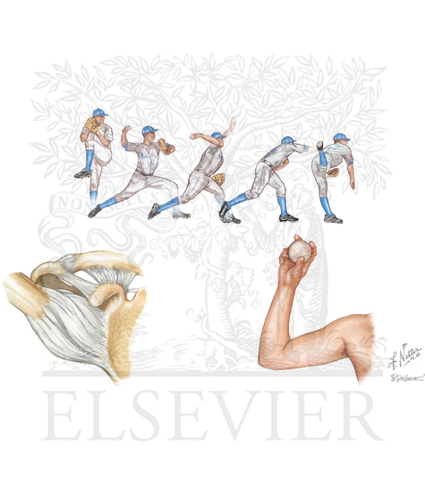 Watermarked preview of unlabeled image: Phases of the overhead throw