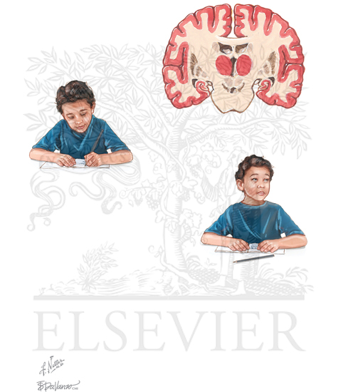 SEIZURES AND EPILEPSY: ABSENCE SEIZURES