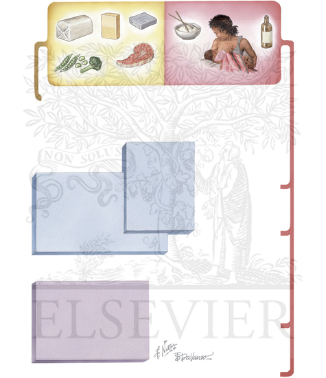 Watermarked preview of unlabeled image: Beriberi: Sources and Metabolism of Thiamine (Vitamin B1)