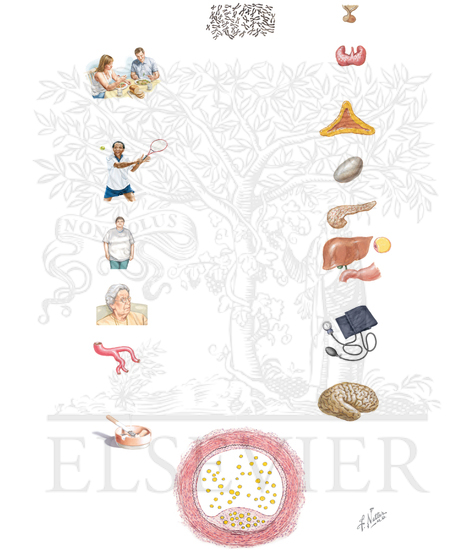Risk Factors in Etiology of Atherosclerosis