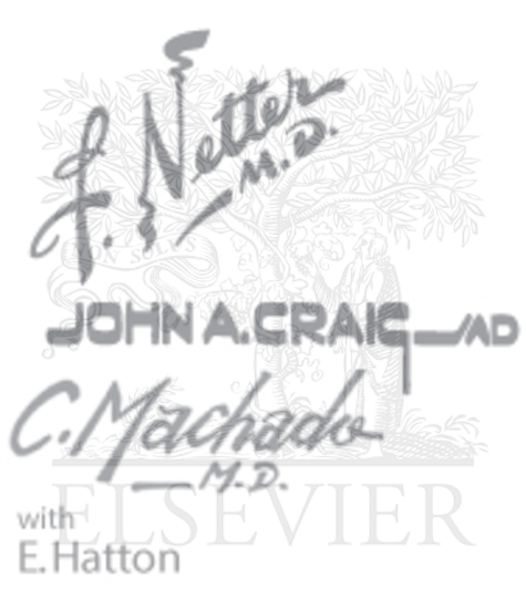 Watermarked preview of unlabeled image: Obesity