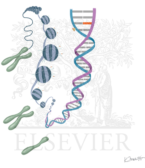 Watermarked preview of unlabeled image: Paternal Age Effects on Offspring