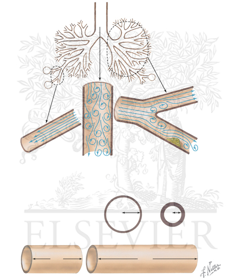 Watermarked preview of unlabeled image: Flow