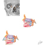 11520