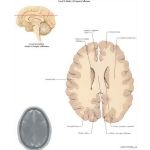 29613