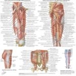 36301