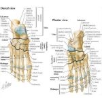 37772