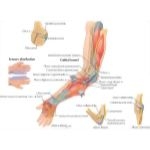 ulnar nerve compression