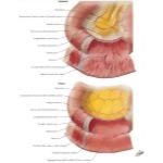49161