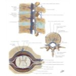 51072
