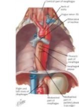51724